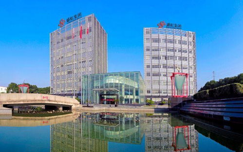 借壳丹化科技失败盛虹再推斯尔邦资本运作 大炼化项目年底将投产
