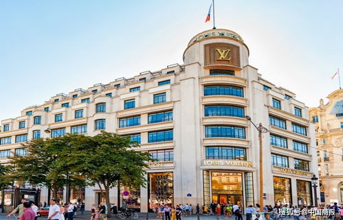 lvmh集团上半年利润大幅下滑 但中国市场强劲反弹
