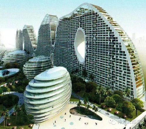 cctv 城市一对一 广西北海vs澳大利亚黄金海岸 请关注北海,了解北海